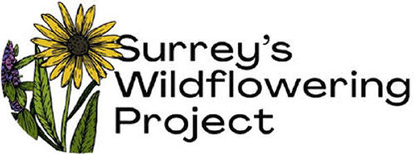 Surrey’s Wildflowering Project