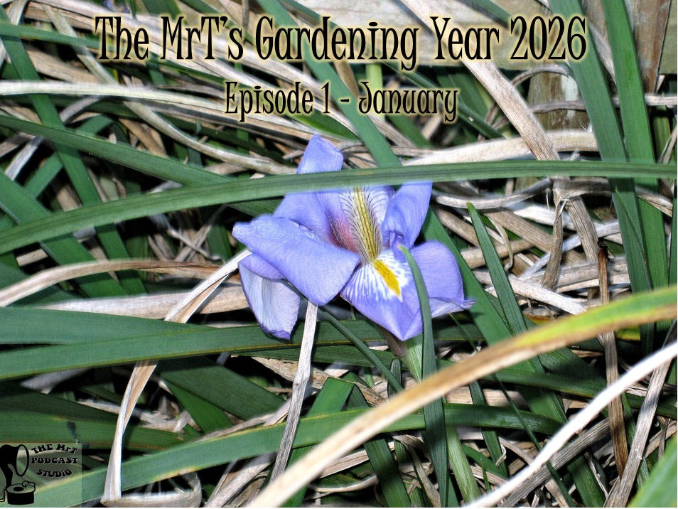 MRTGY 2026 01 January