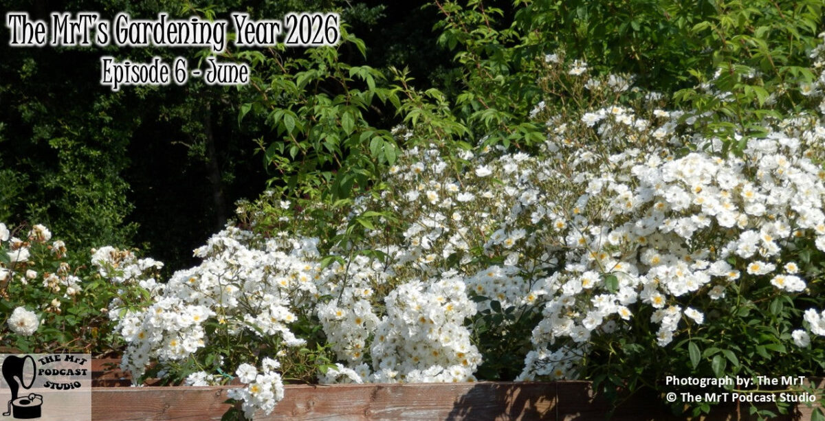 MTGY 2026 06 June 2026